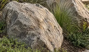 Two large, textured boulders surrounded by ornamental grasses and low-lying greenery.