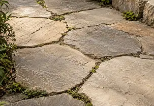 Flagstone path with plants growing in the crevices.